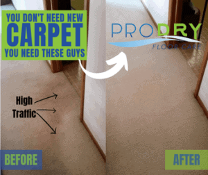 YOU DONT NEED NEW CARPET 3