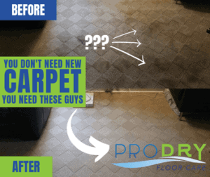 YOU DONT NEED NEW CARPET 6