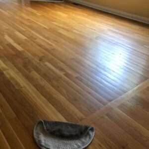 Hardwood Floor Cleaning1
